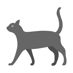 Farm Cat Vector Flat Icon Design