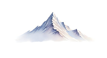 feather on white background