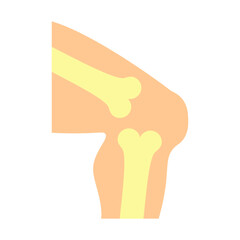 Knee Vector Flat Icon Design