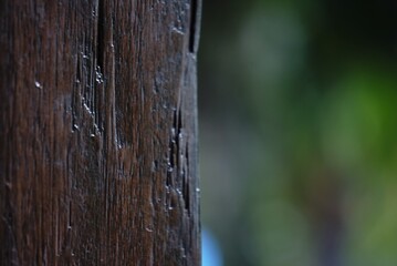 old wooden fence