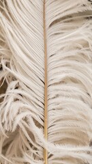 Detailed Close Up of Fluffy White Feather with Soft Texture and Gentle Lighting