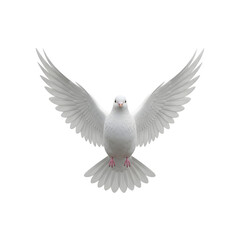 Obraz premium Majestic White Dove with Wings Spread Wide 1.