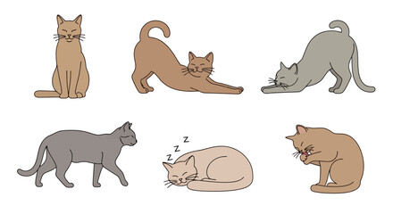 Cartoon Cats in Various Poses Illustration for Children's Books and Pet Care Guides, Suitable for Educational Materials and Animal-themed Design Projects
