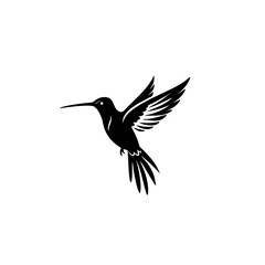 Obraz premium hummingbird in flight