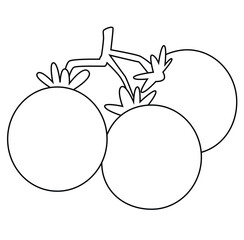 cute cartoon hand drawn vector Tomato Branch Outline.