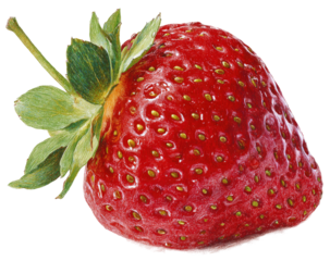 Close-up of a single, ripe strawberry.  Vibrant red skin is dotted with tiny seeds.  Green leaves and stem are attached.  High-quality image detail