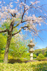 [愛知県]名古屋市東区の徳川園