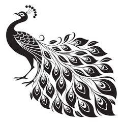 black peacock Silhouette Vector, High Quality Illustration on White Background