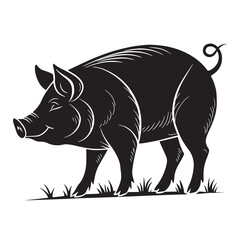 black pig Silhouette Vector, High Quality Illustration on White Background