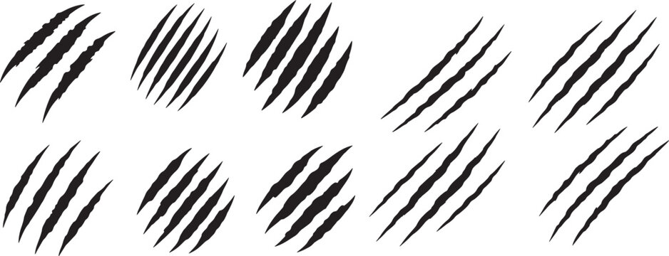 Jagged claw marks on a white background representing damage or attack
