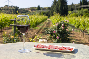 A glass of red wine sits on a stone table next to a plate of sliced meat. In the background, a vineyard stretches under a clear blue sky.