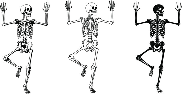Skeleton halloween vector dancing skeletons bone anatomy spooky