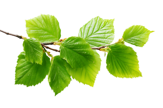 Morning coffee concept with a white mug on a wooden tabletop in a blurred cafe interior