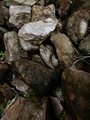 stone wall with moss in my home 