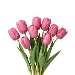 Obraz premium Pink tulips arranged in a bouquet with green leaves on white background 