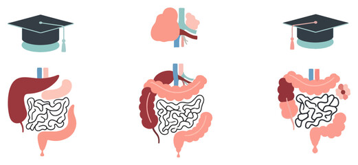 Illustrations depicting the human digestive system, brain, and graduation cap, representing medical education and bowel health.