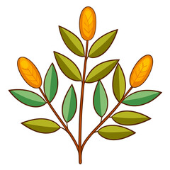 xylobium foveatum on white