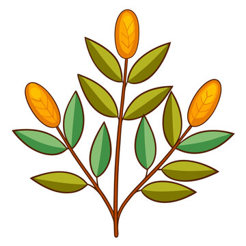 xylobium foveatum on white
