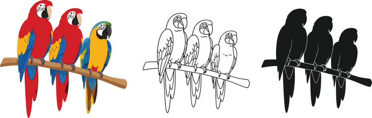 Three parrots on a branch vector illustration clip art image