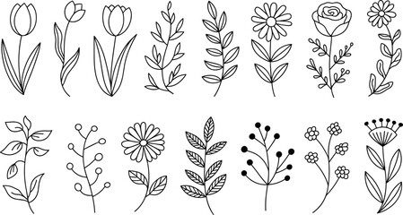 Collection of hand drawn botanical illustrations featuring various floral and leafy stem designs