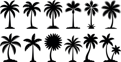 Collection of silhouetted palm trees in various shapes and sizes against a white background