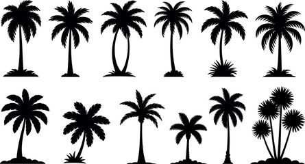 Collection of diverse palm tree silhouettes on white background for tropical design elements