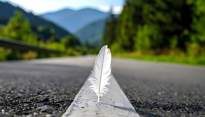 A solitary feather rests on the edge of a roadway.
