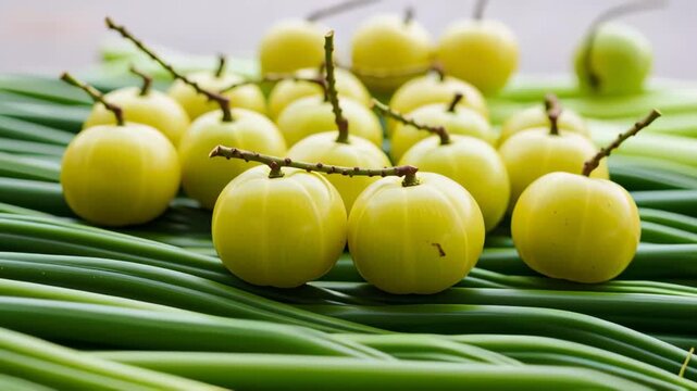 Amla Fruits with Stems Resting on Green Scallions in a Flat Lay Still Life