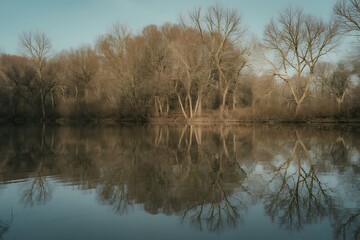 Bare Trees Reflected in Calm Water Under a Softly Cloudy Sky Keywords: reflection, water, trees, bare trees, winter, nature, landscape, calm water, sky, clouds, reflection in water, dormant