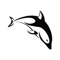 shark vector illustration