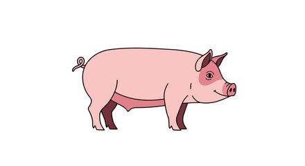 Illustrated Pink Pig with Black Outline on White Background for Educational Materials and Children's Book Illustrations