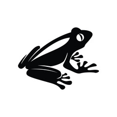 frog on a leaf