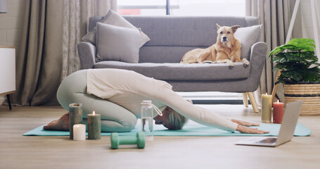 Laptop, stretching and yoga with woman on floor of living room for online class or course. Computer, fitness or flexibility with person and pet dog in apartment for virtual learning of childs pose
