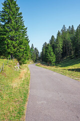 Route forestière du Jura vaudois en montagne
