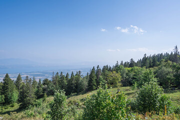 For&ecirc;t et p&acirc;turage au sommet de la Barillette, Jura vaudois