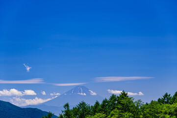 まきば公園から見た富士山