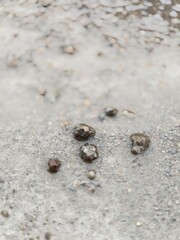 Closeup photography of a stone