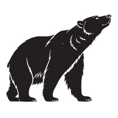 black polarbear Silhouette Vector, High Quality Illustration on White Background
