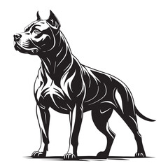black pitbull Silhouette Vector, High Quality Illustration on White Background