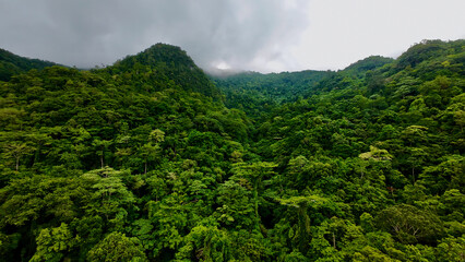 Mountain tropical landscape with clouds. View of mountain range shrouded in clouds. Mountains...