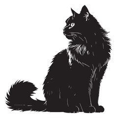 black ragdoll Silhouette Vector, High Quality Illustration on White Background