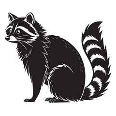 black raccoon Silhouette Vector, High Quality Illustration on White Background
