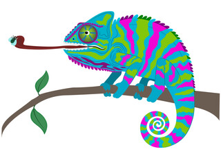 Lacertilia on a white background.