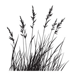 silhouette cattails reeds wild grass river bank swamp coastal plants 
