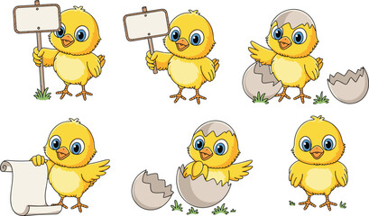 Adorable baby chick cartoon characters vector set, cute yellow bird illustrations with eggshell, signs, scroll, farm animal mascot