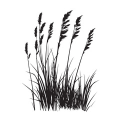 silhouette cattails reeds wild grass river bank swamp coastal plants 
