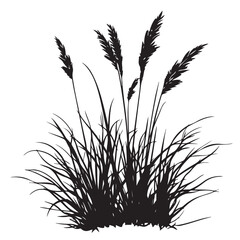 silhouette cattails reeds wild grass river bank swamp coastal plants 
