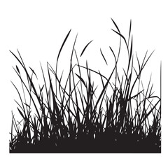 silhouette cattails reeds wild grass river bank swamp coastal plants 
