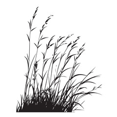 silhouette cattails reeds wild grass river bank swamp coastal plants 
