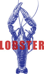 Blue lobster illustration with red "LOBSTER" text overlay. Detailed seafood graphic, ideal for restaurant menus, seafood market visuals, nautical themes. Vector available.